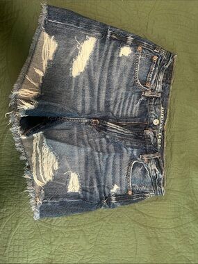 American Eagle Outfitters Distressed Blue Denim Cutoff Shorts